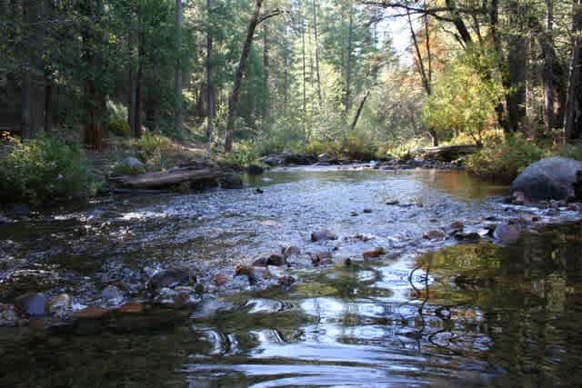 Gumboot placer gold claim