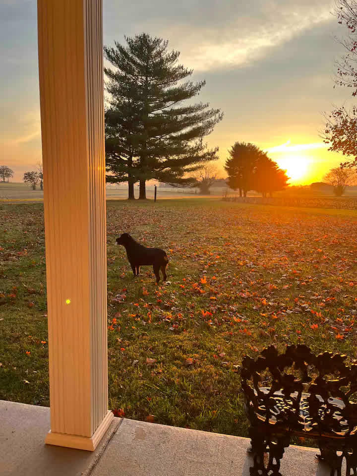 Squirrel Oaks Farm