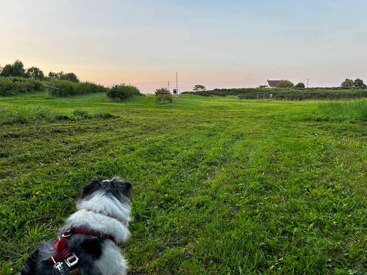 Sunnyside Family Farm Camping