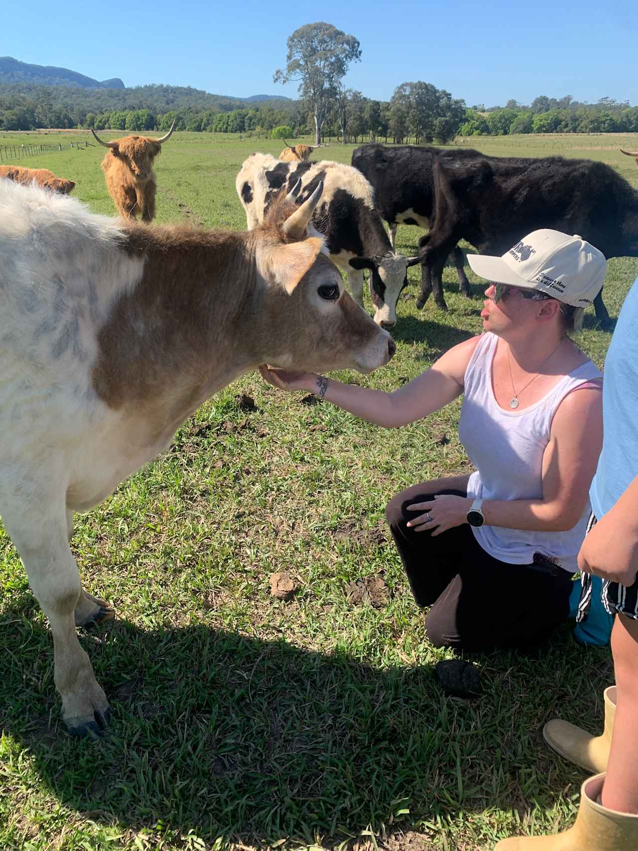 Whispering Mountain Farm