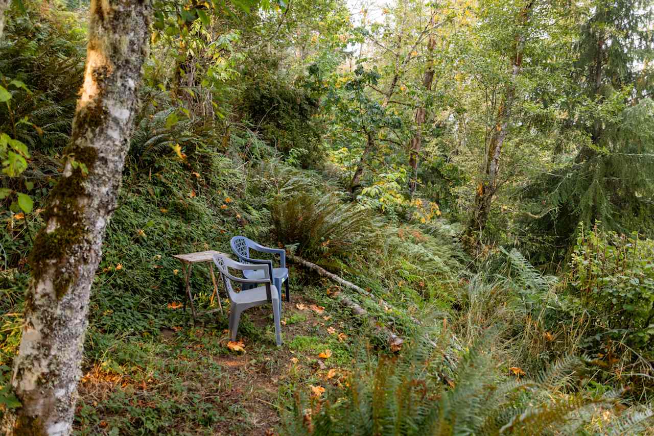 The scenic vista above the property 