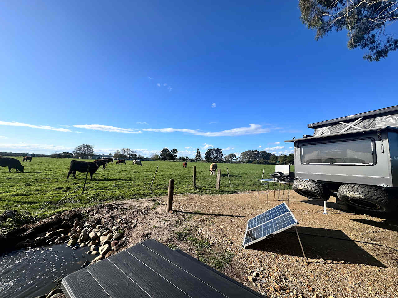 The Farm @ JU Buffalo (S Gippsland)