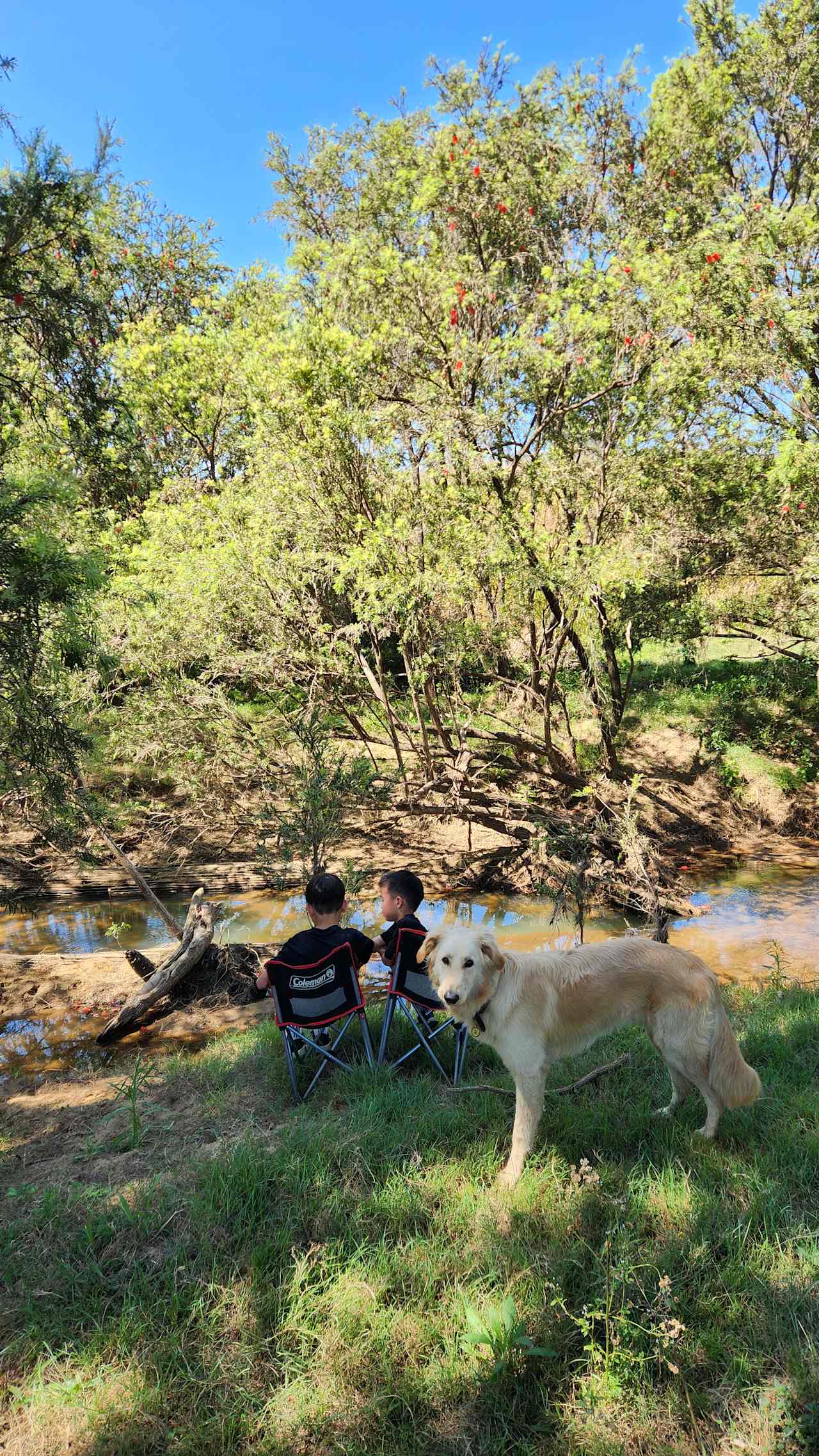 Juburra Country Camping