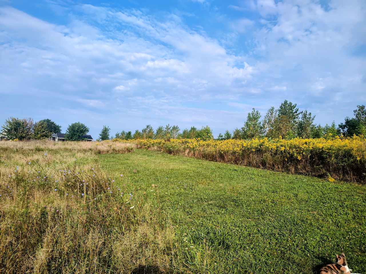 Healing Meadow Trails Wooded Acres