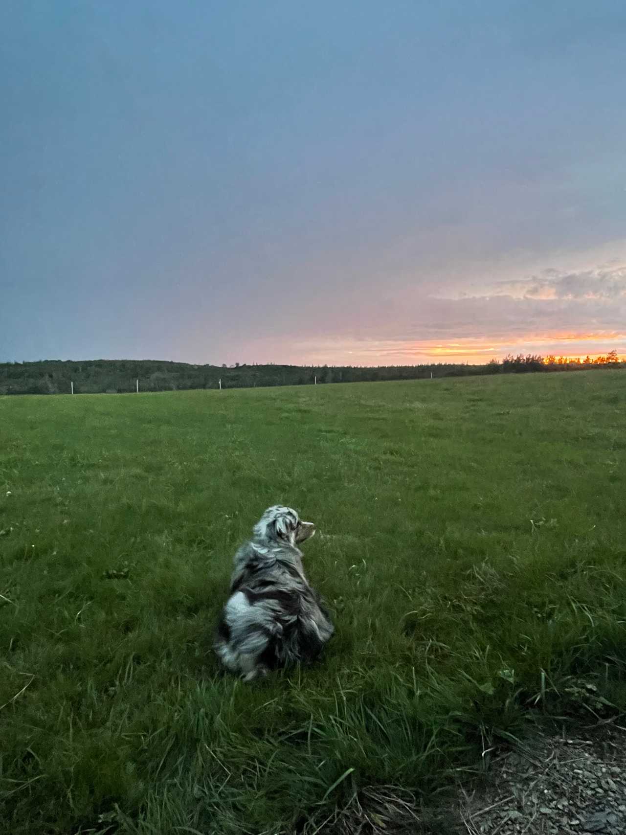 Big Belle Farm