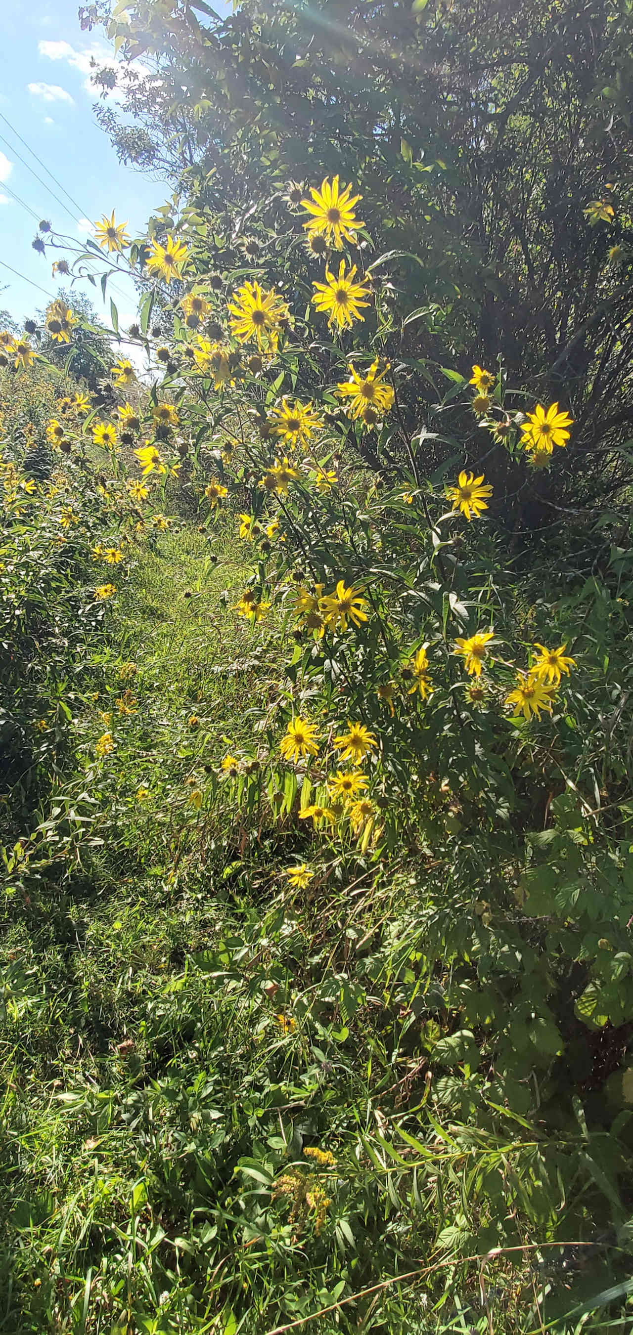 Tempesta Bay Ranch