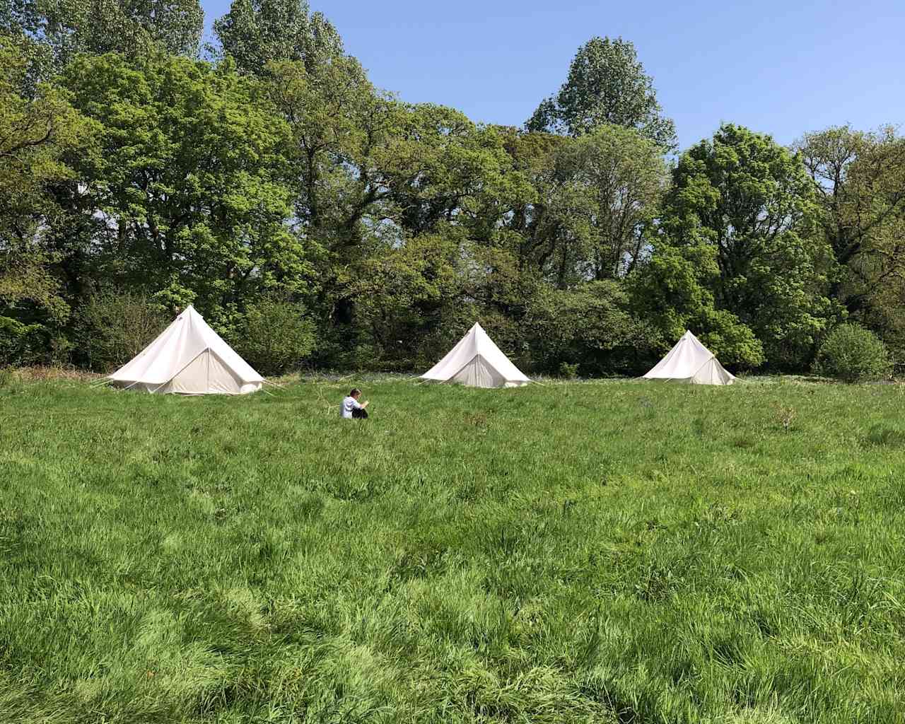 Exclusive use Cornish WILD Glamping