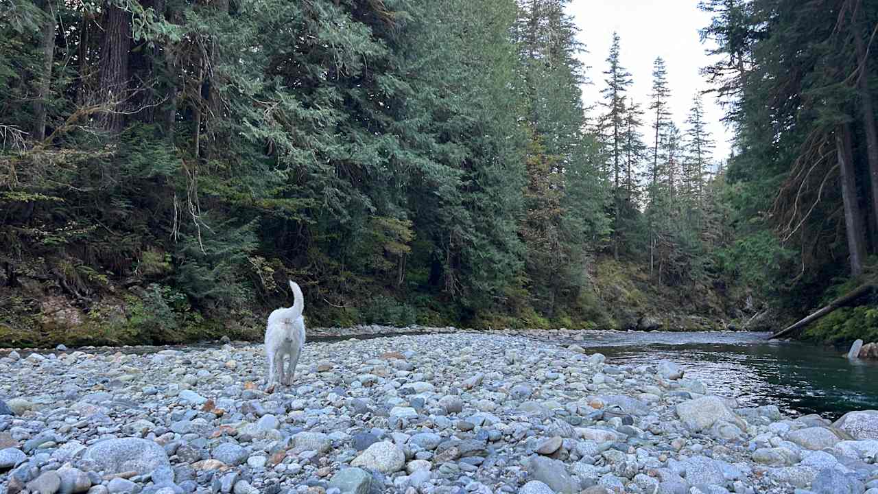 Hiyu Creek Camp