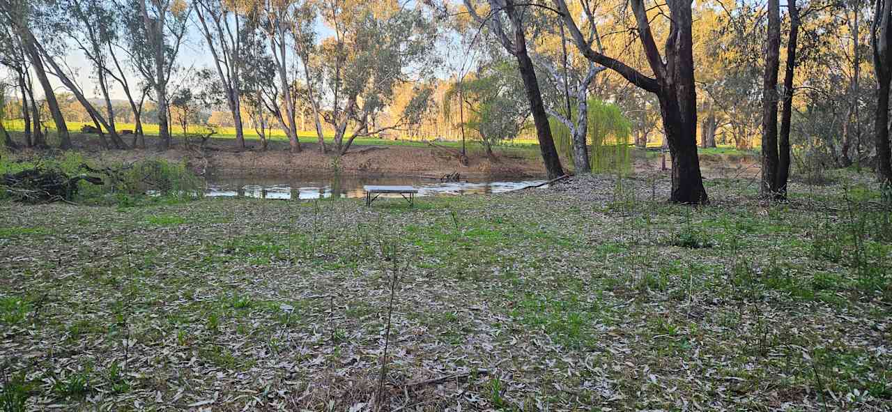 An amazing spot down by the creek perfect for camping and fishing 