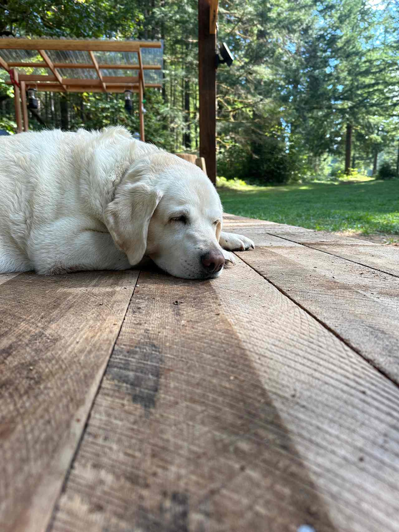 Annabelle Napping