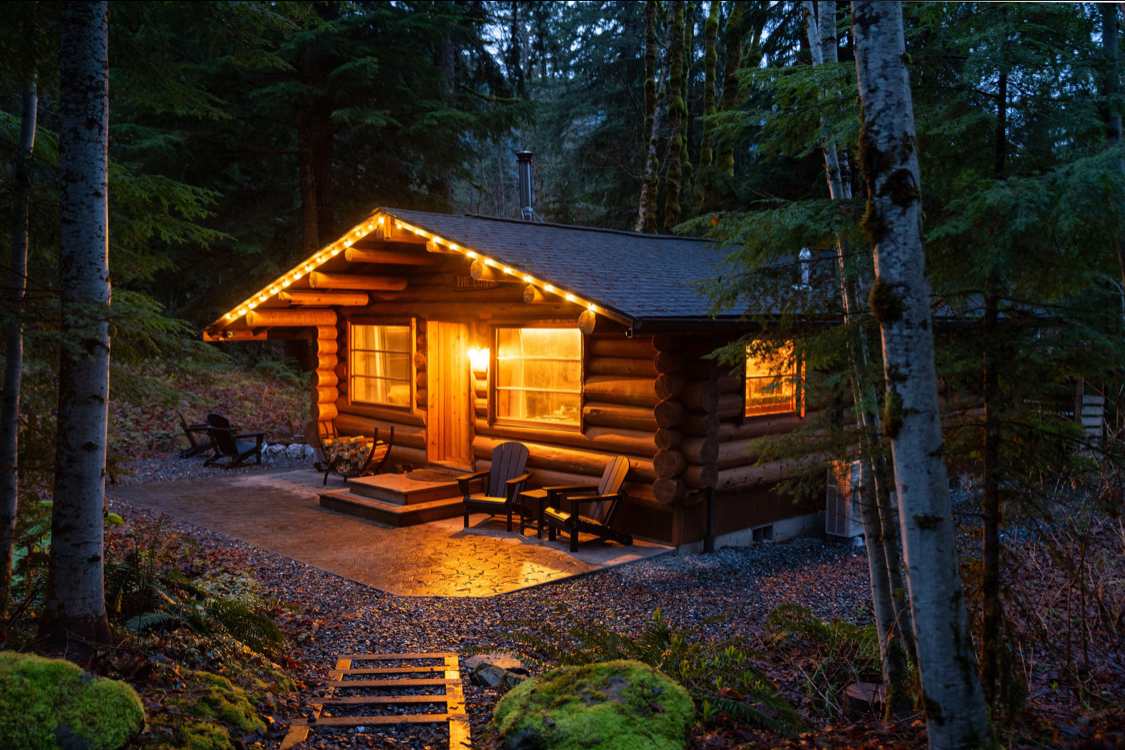 The Logs At Mt Baker