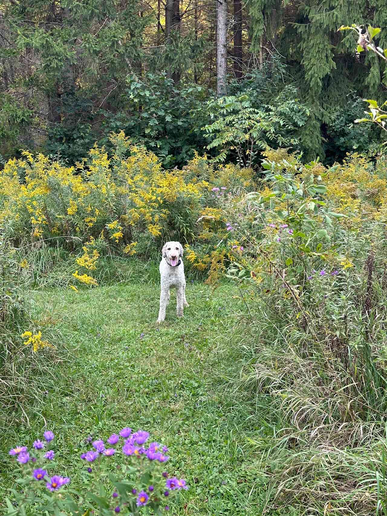 Braemar Valley Nature Sanctuary