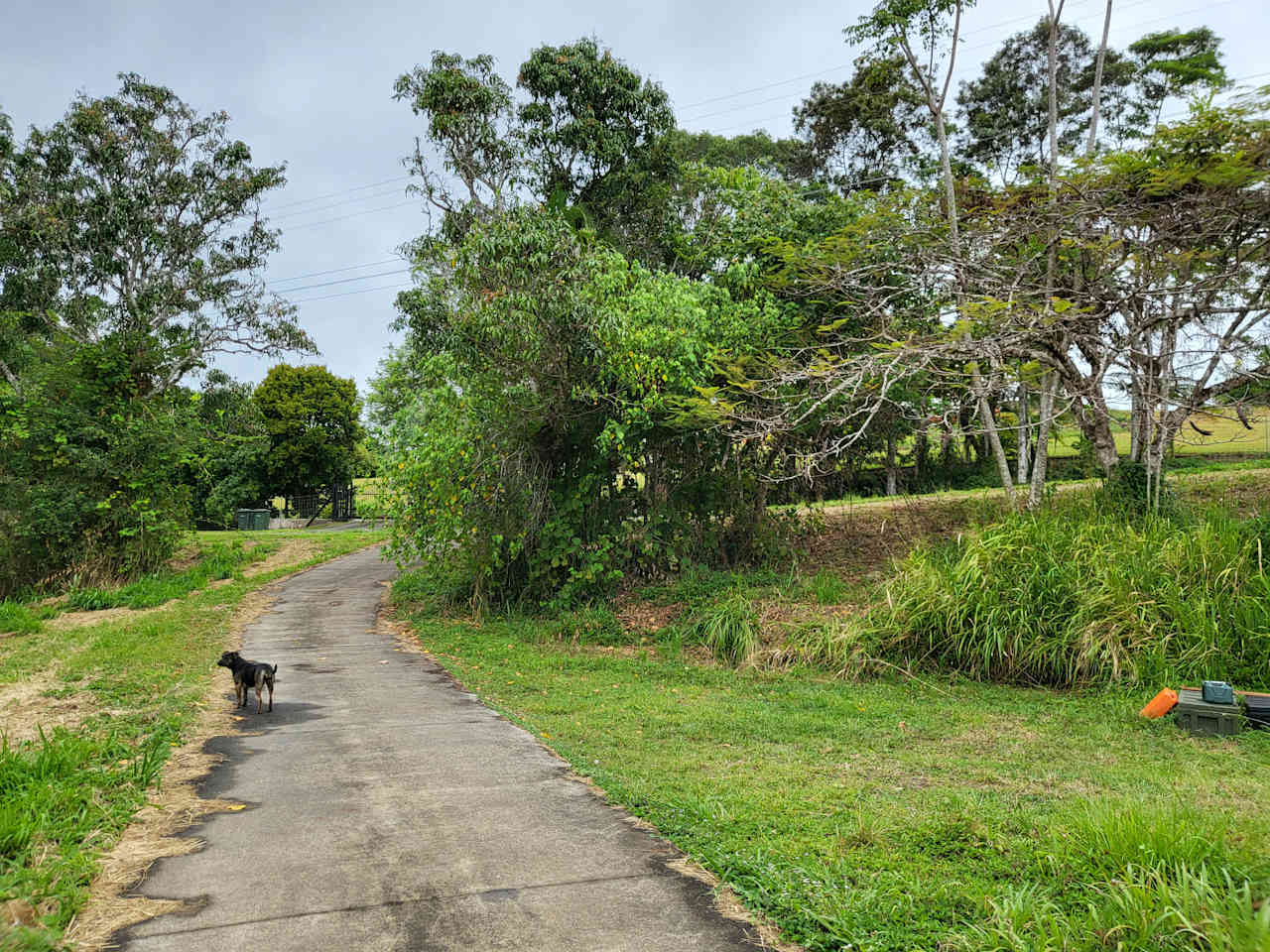 Rainforest Rest Stop