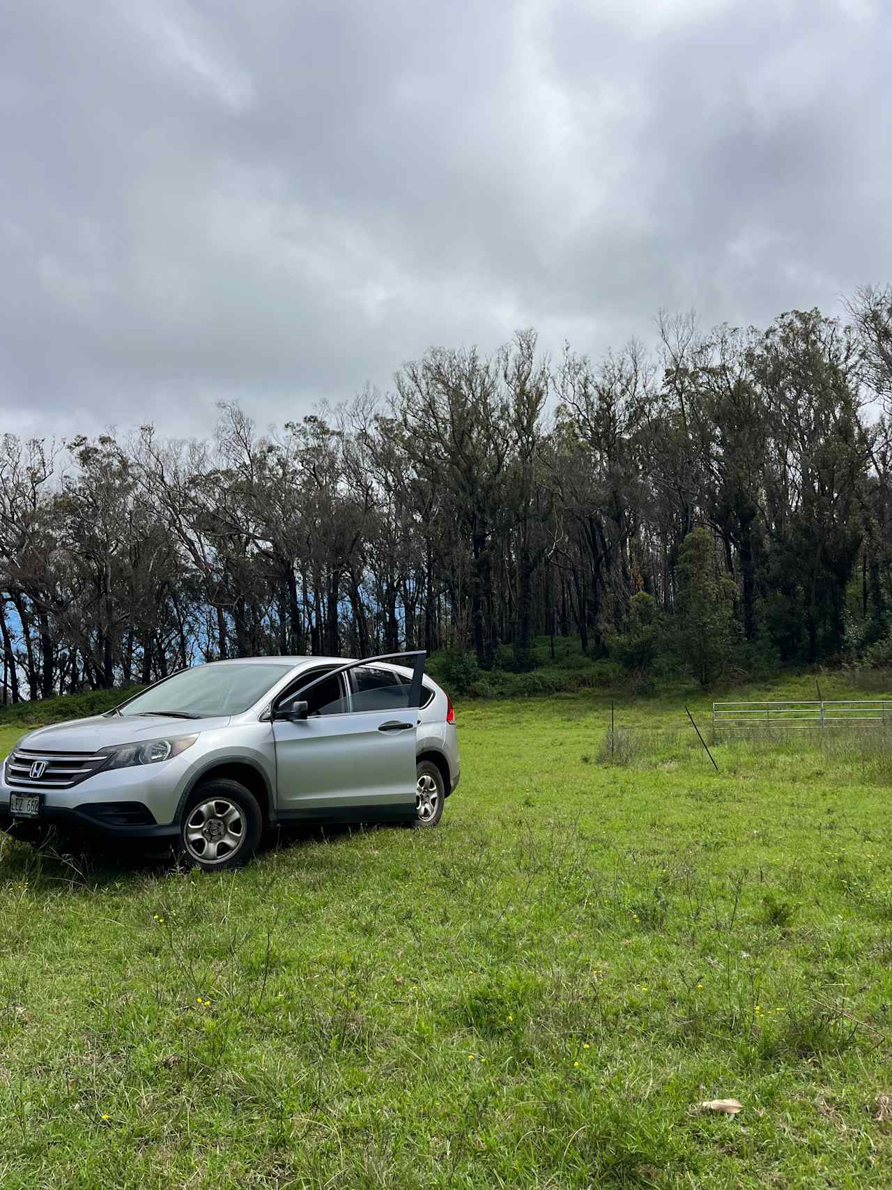 Secluded Upcountry Maui Camping