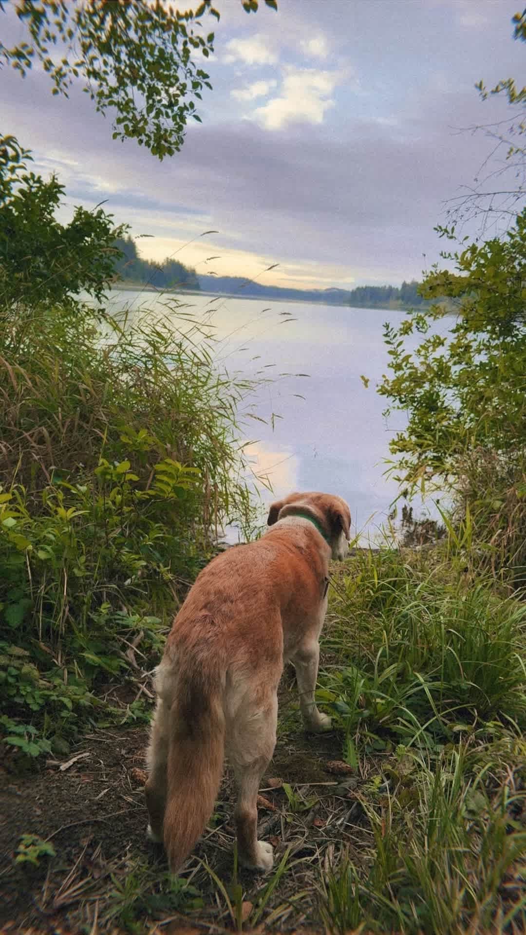 Enjoying the lake