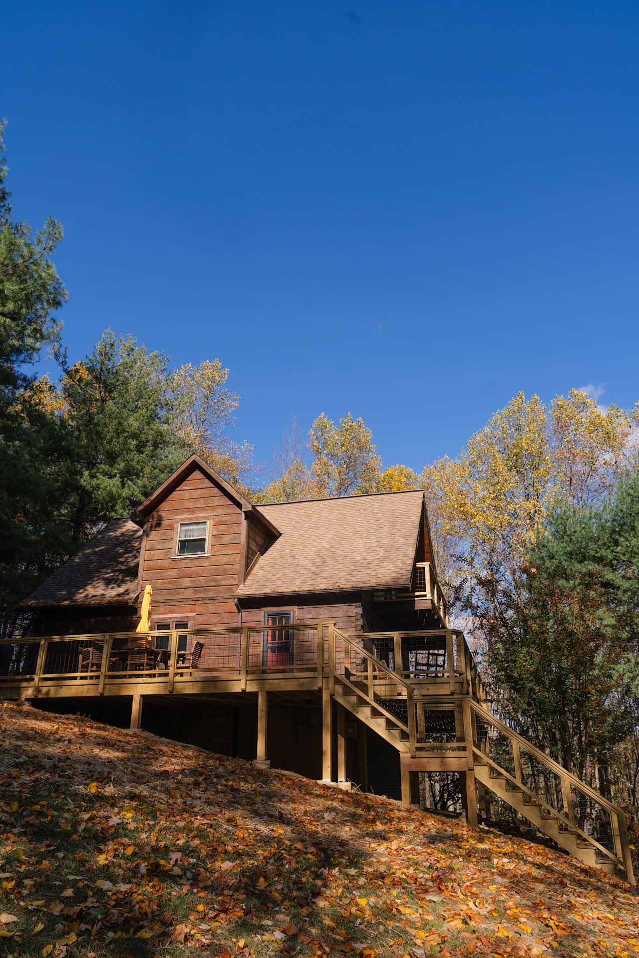 Tree-Top Log Cabin Near Old Rag