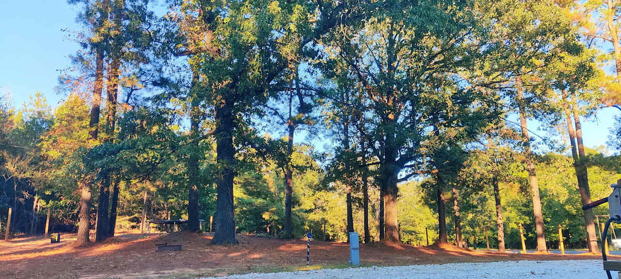 Pleasant Hill Pines of Red Slough