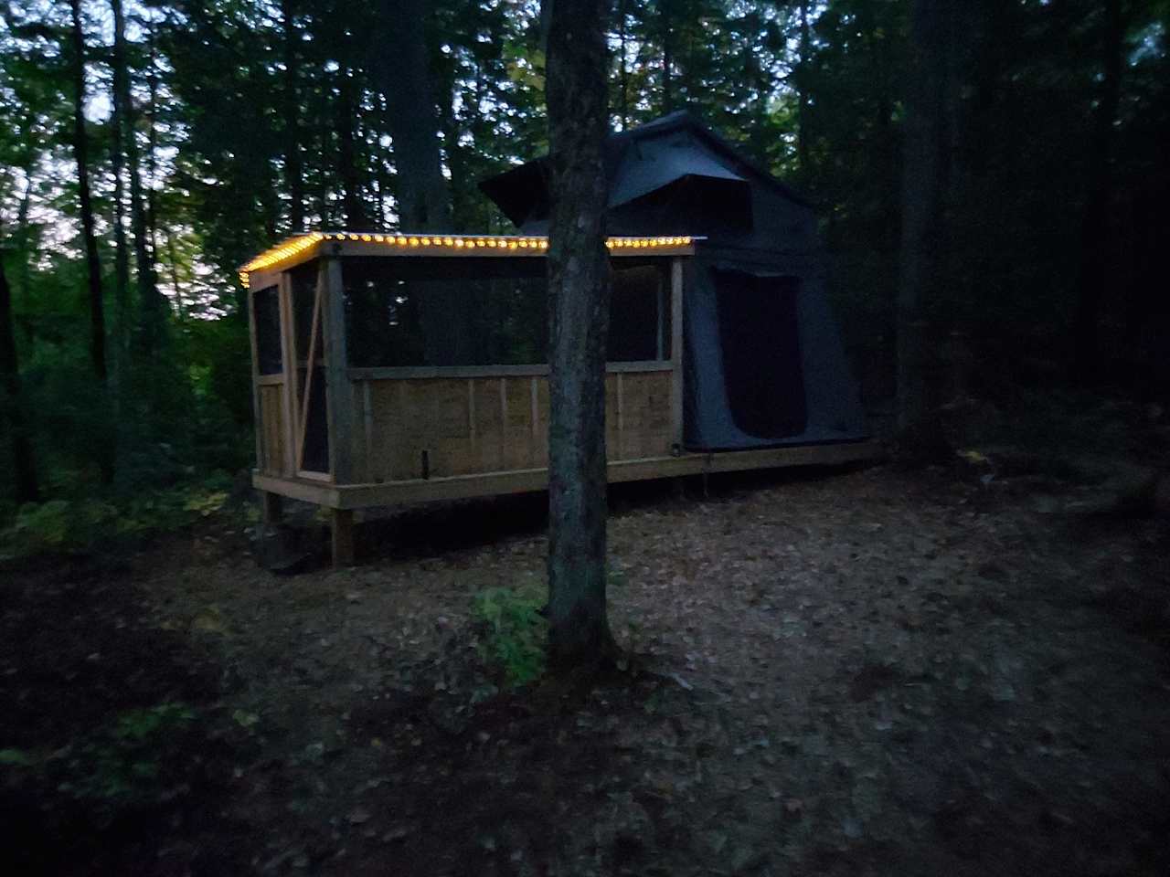 Shelter in evening light.