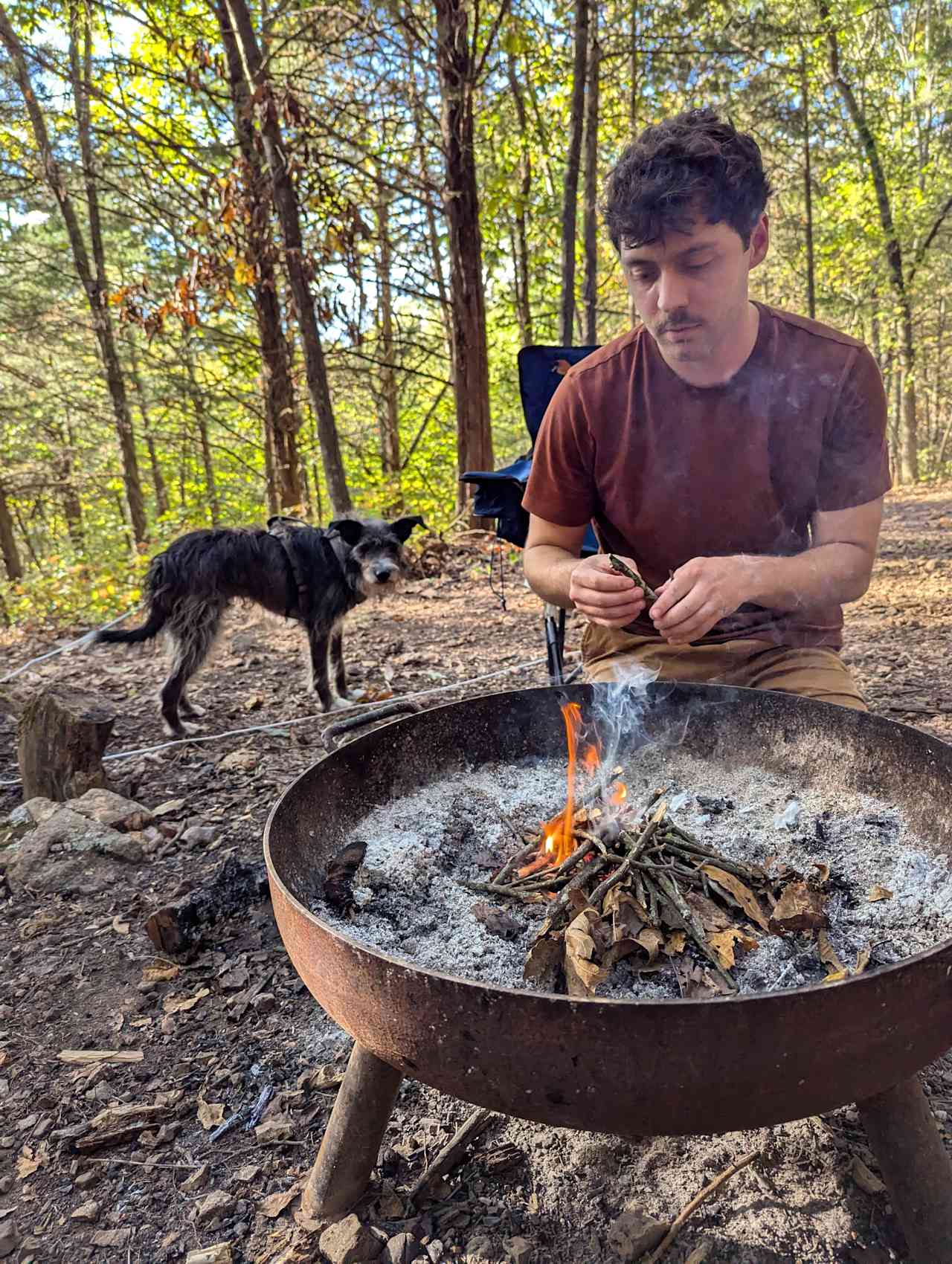 Canvas Tent in Private Woodland