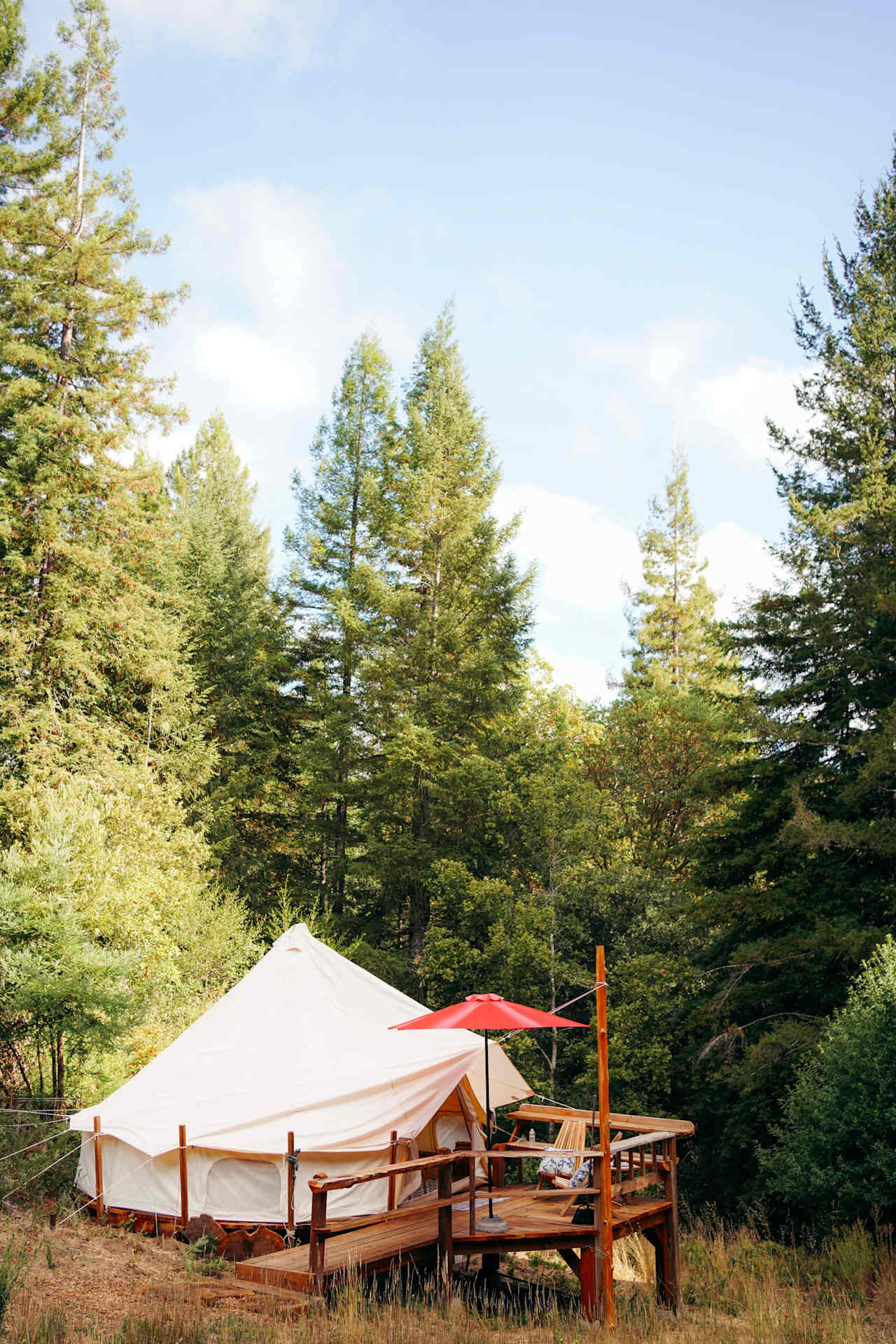 Butterfly Landing Tent