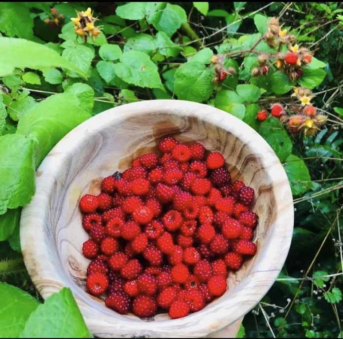 Firefly Food Forest