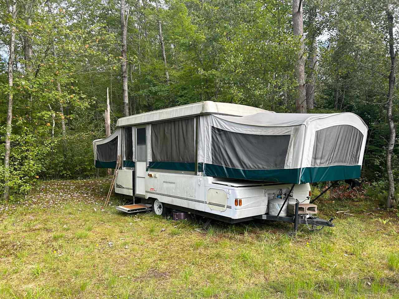 Camp on the Organic Blueberry Pond!