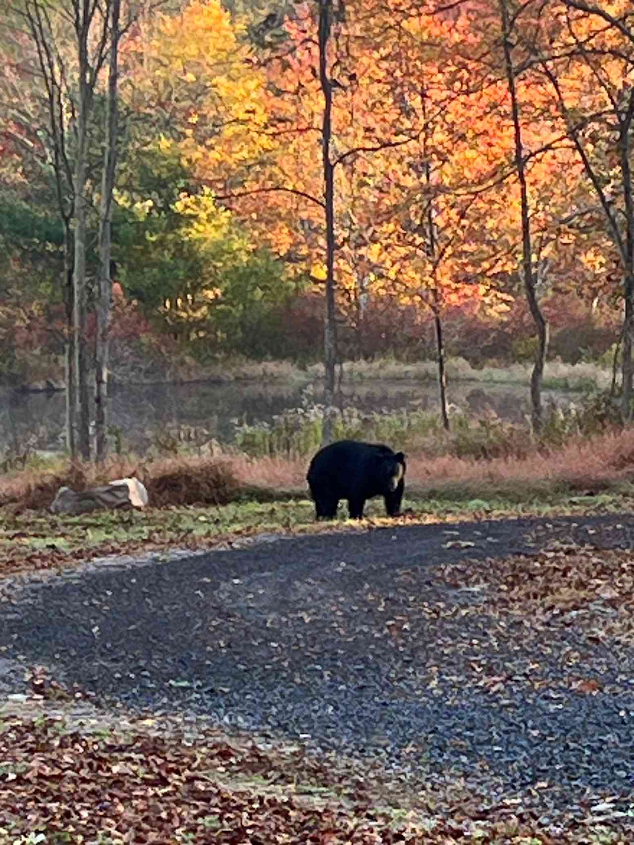 Deer Point