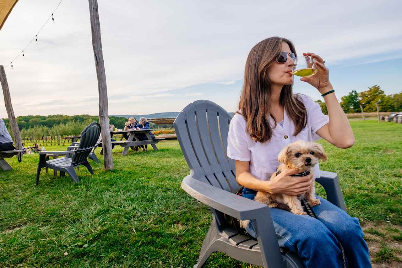 Listen to jazz and sip cider.