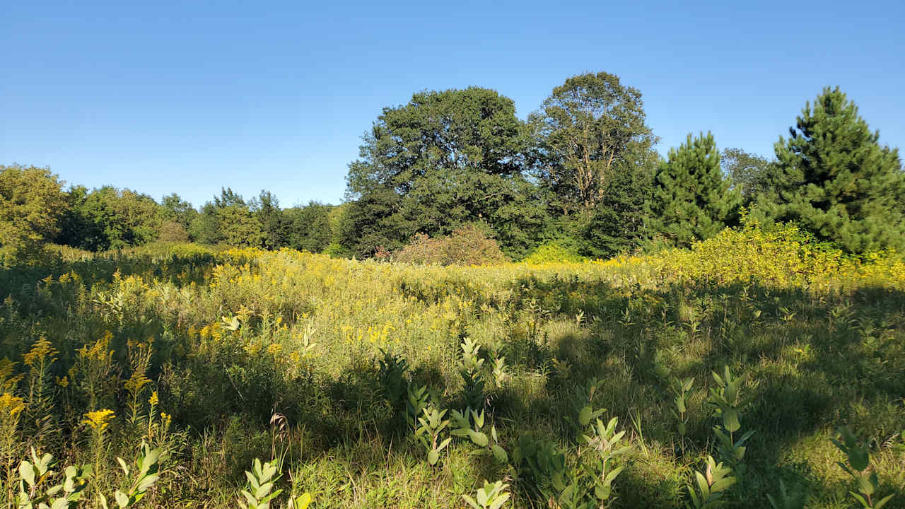 Tempesta Bay Ranch