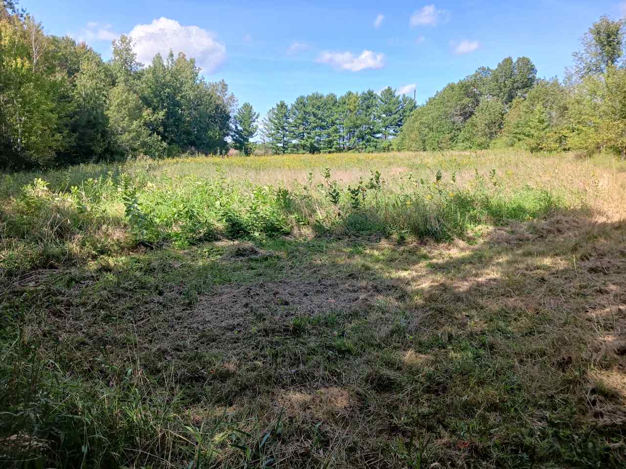 Lake Tommy Homestead