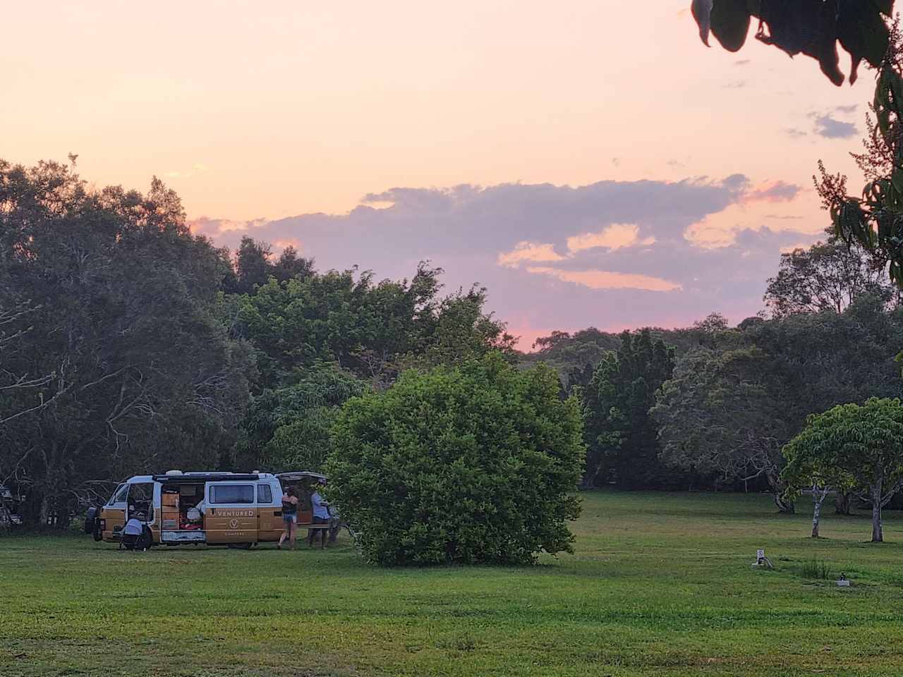 Florienne Park - Mango Orchard