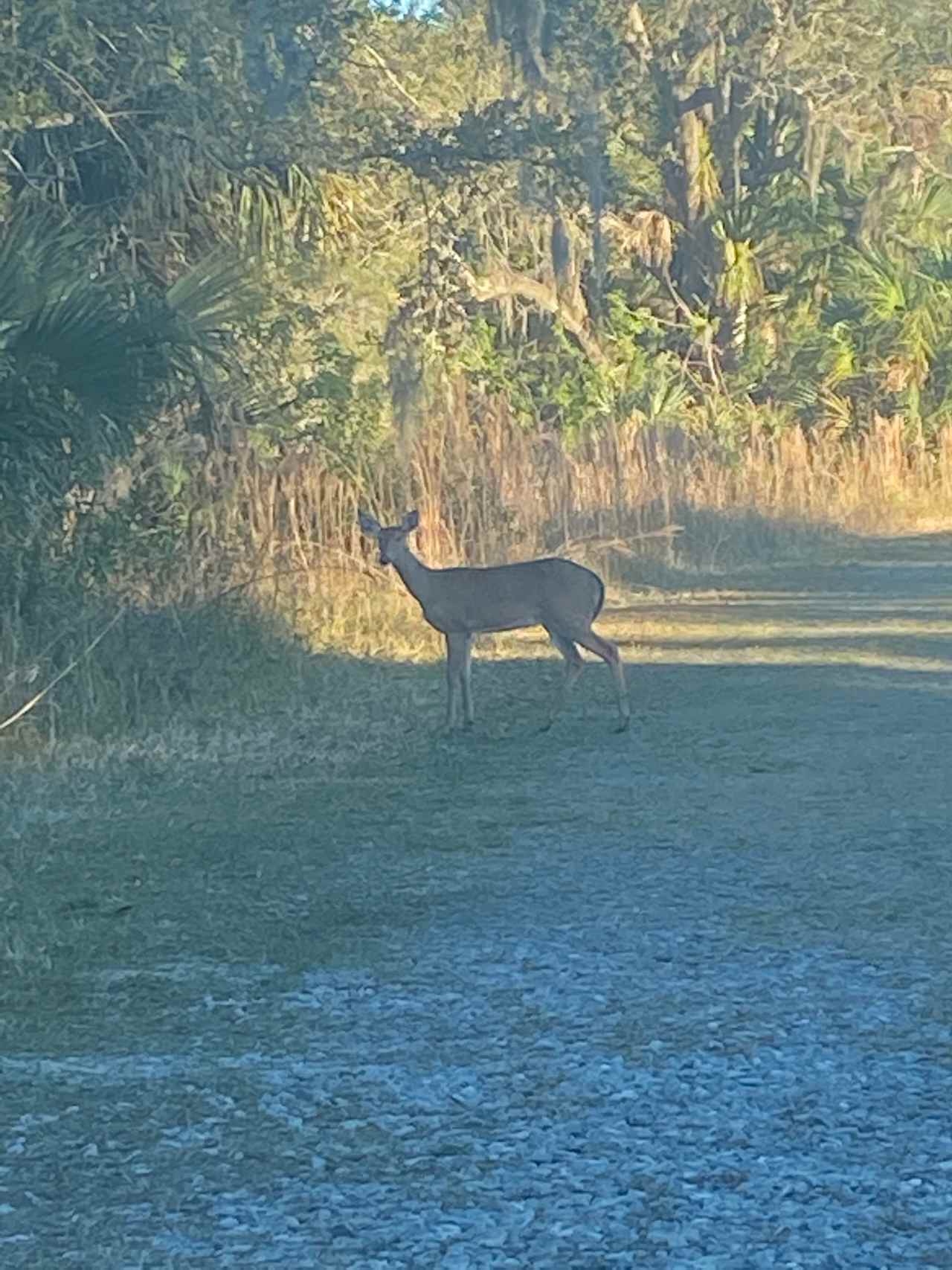 Deer Run Camp