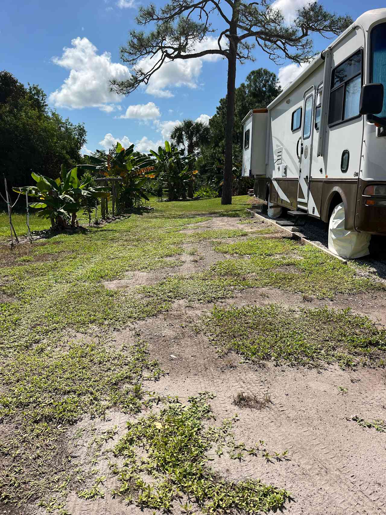 RV Site is next to existing RV on unpaved and very slightly graded location. 