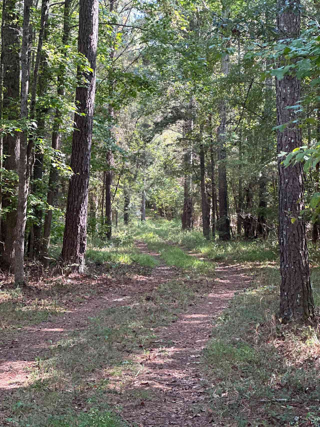 Secluded Riverbend Camp