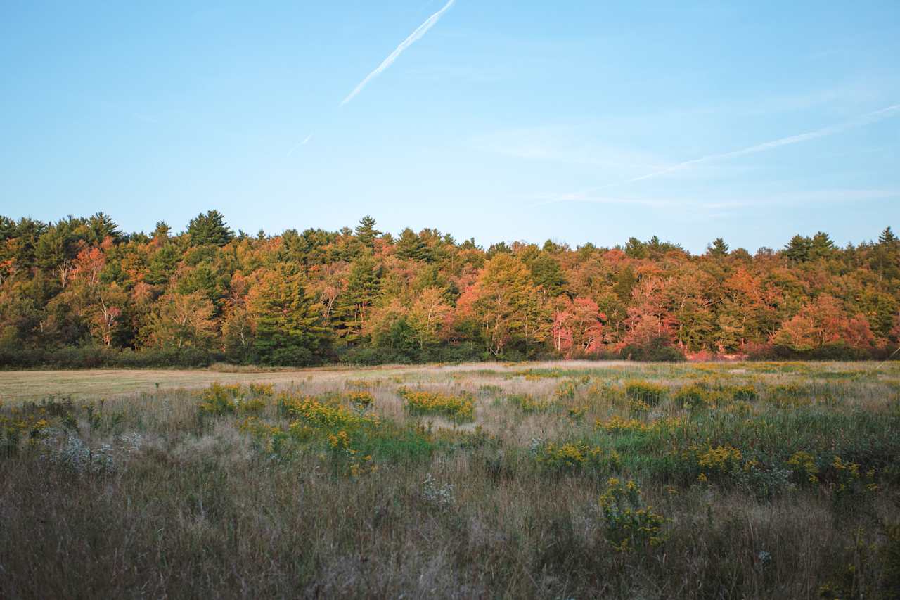 Maple Corner Farm