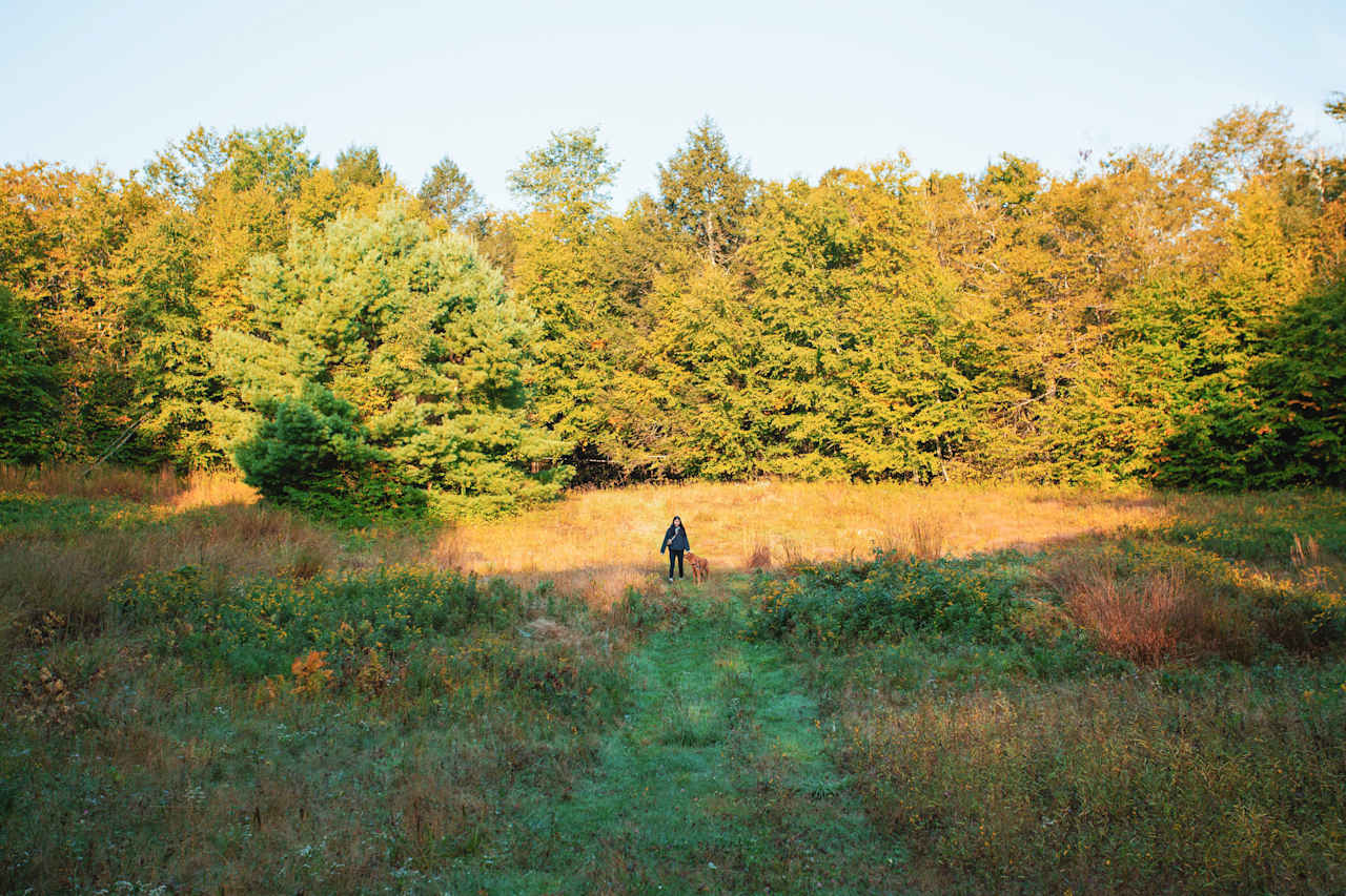 Maple Corner Farm