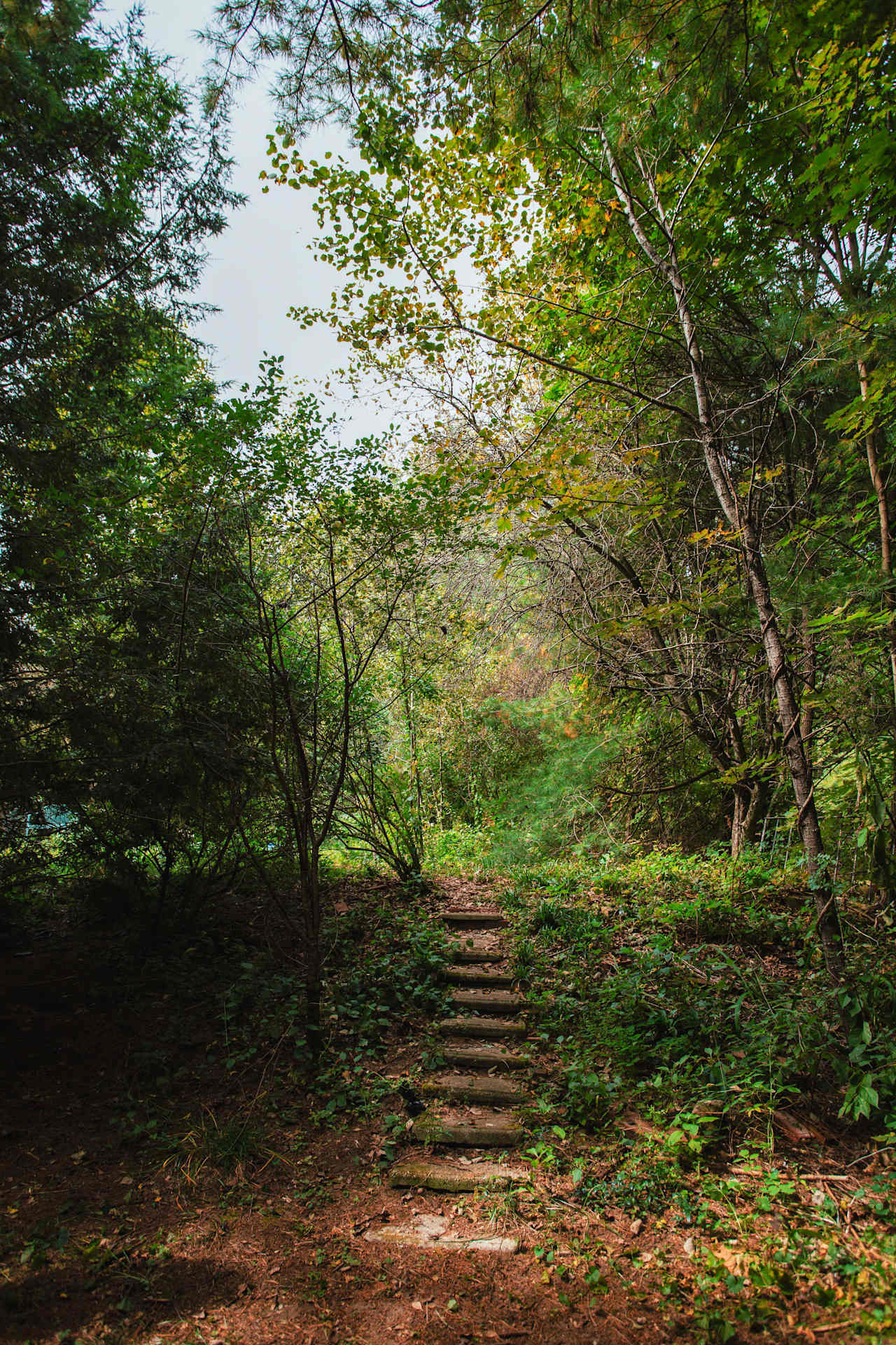 Steps into the campsite