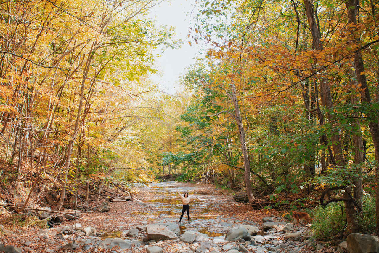 Locust Grove Waterfall