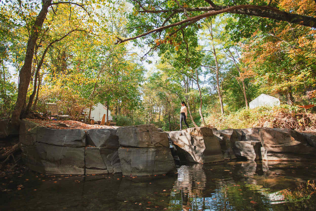 Locust Grove Waterfall