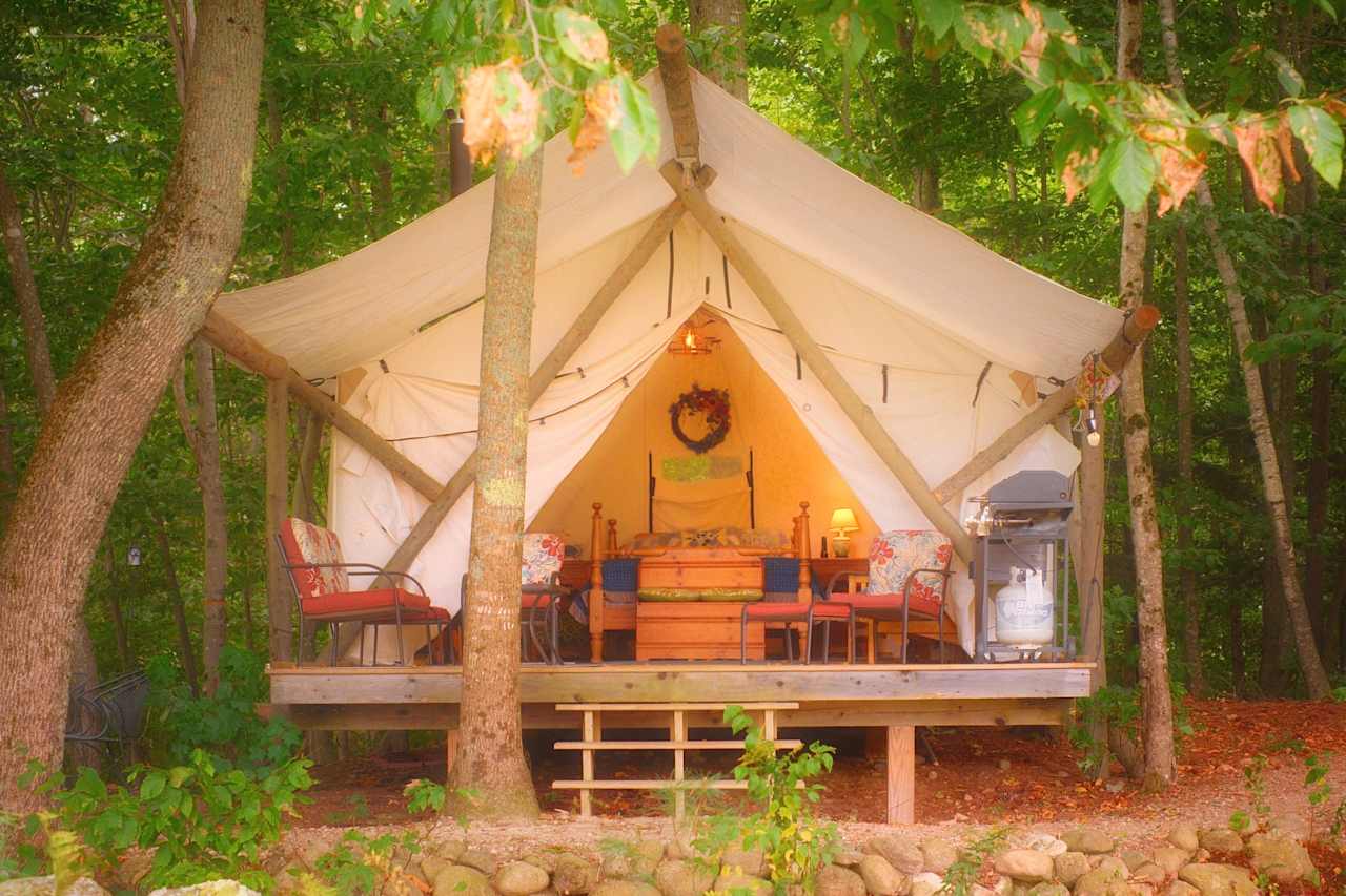 Glamping tent overlooking the sheeps’ pasture