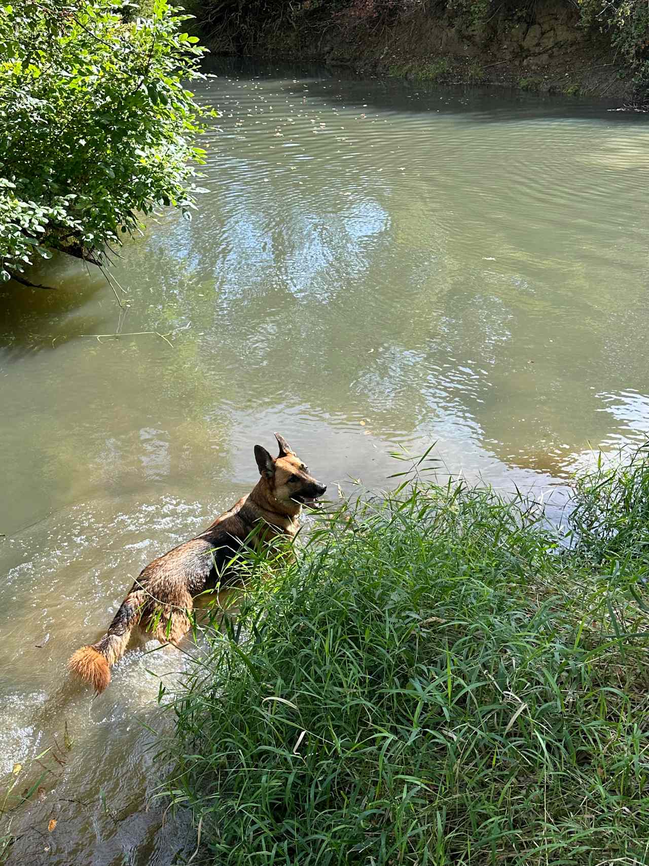 Coyote Camp