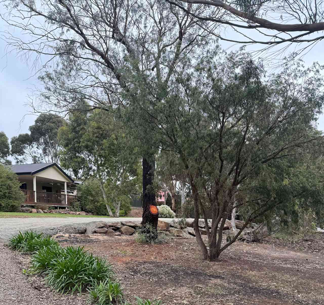 Happy Valley Site