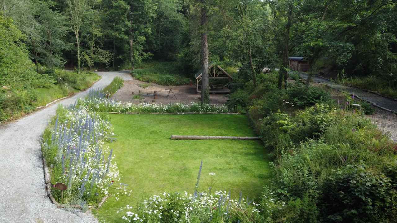 Tree Tops and Train Tracks