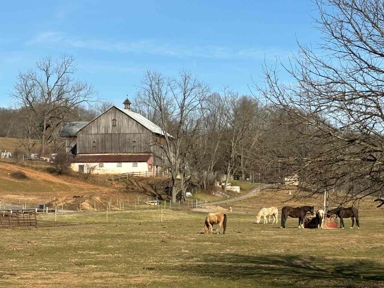 Laureleye Farms