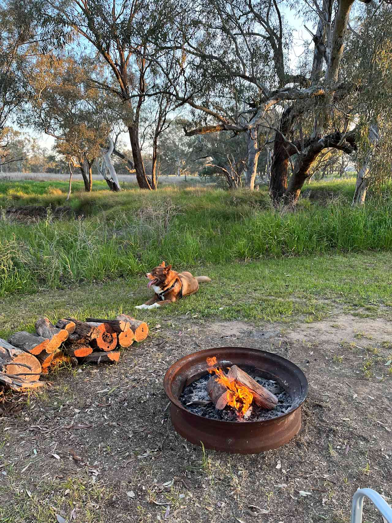 Wendouree Creek Camp