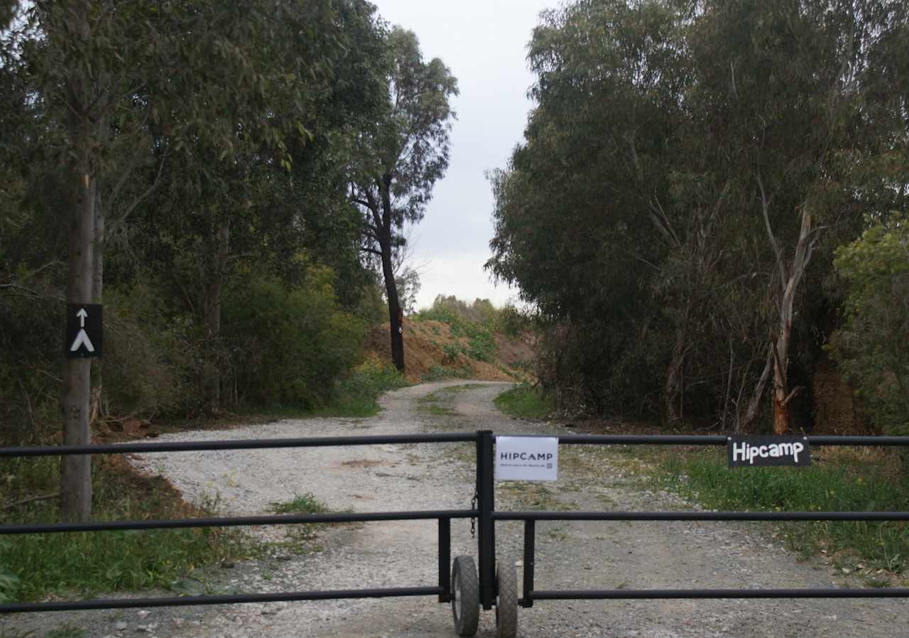 Window to the Wetlands