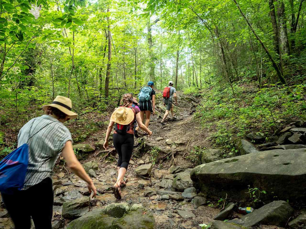 Mulberry Gap - Camping & Van Stays