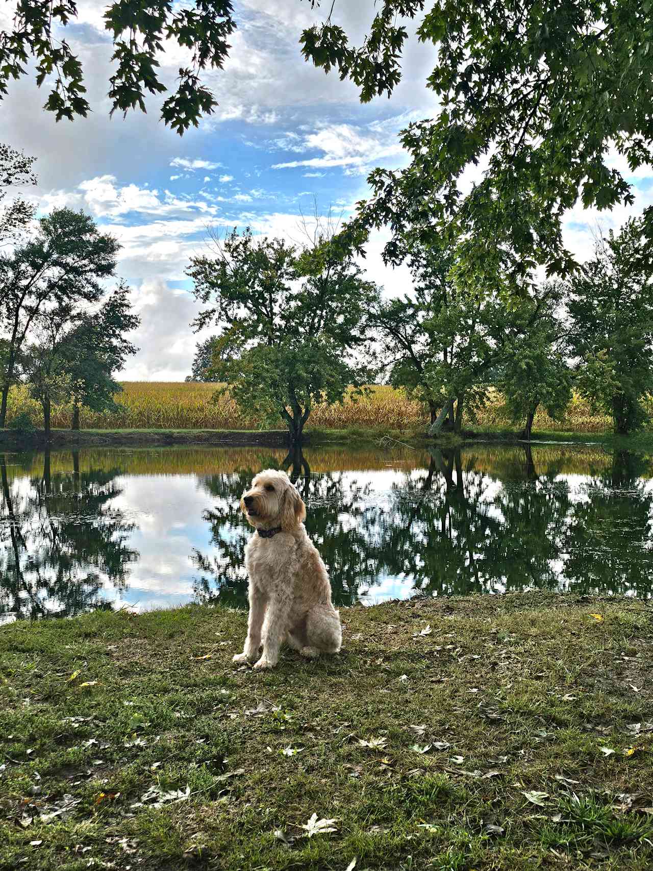 The Quiet Countryside