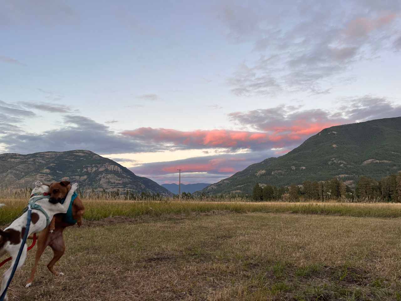 Acres about 10 miles from Glacier