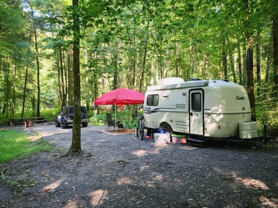 Mulberry Gap - Camping & Van Stays